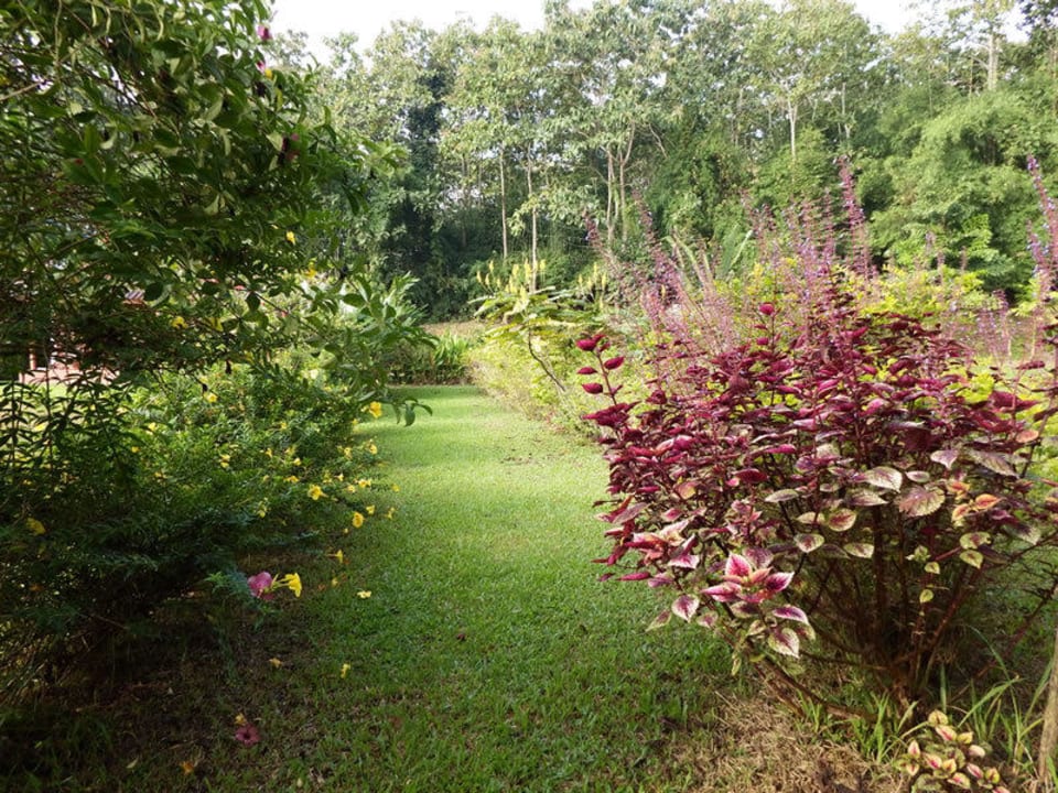 Garden Nok's Garden Resort