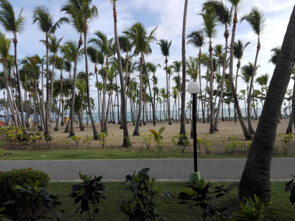 Gartenanlage Playabachata Hotel