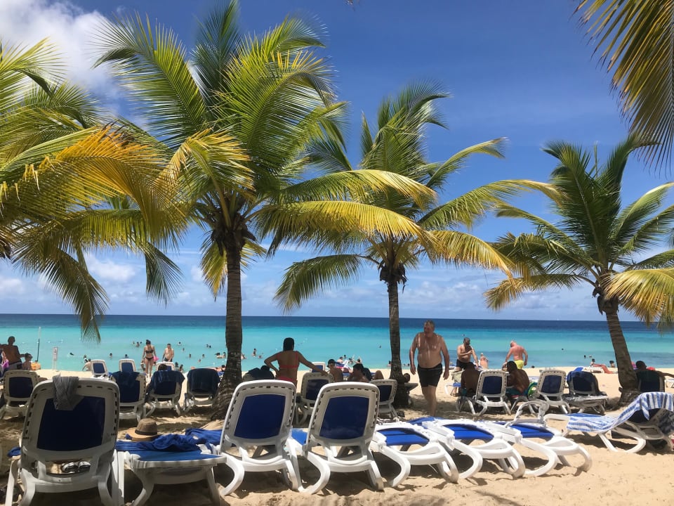 Strand Hotel Viva Dominicus Palace by Wyndham-All Inclusive Resort