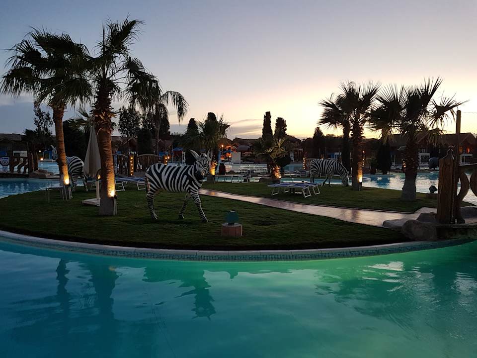 Pool Pickalbatros Jungle Aqua Park Resort - Neverland Hurghada