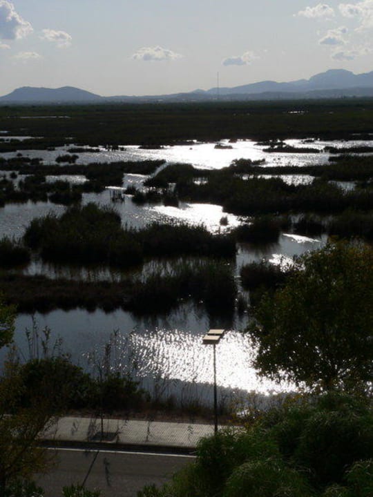 Naturpark Prinsotel La Dorada