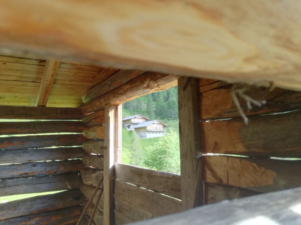 Sonstiges Feldererhof - Urlaub am Bauernhof