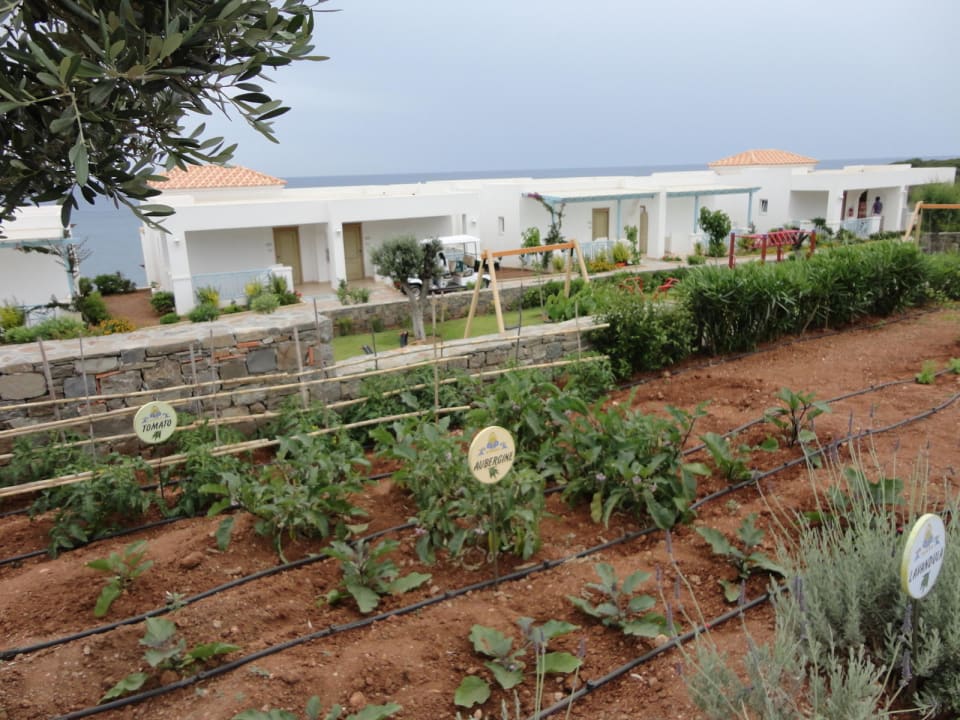 Uprawy Atrium Prestige Thalasso Spa Resort & Villas