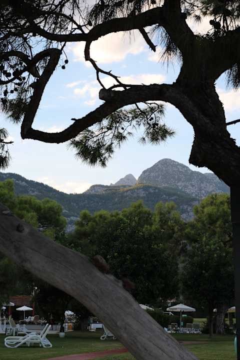 Gartenanlage TUI MAGIC LIFE Beldibi +16