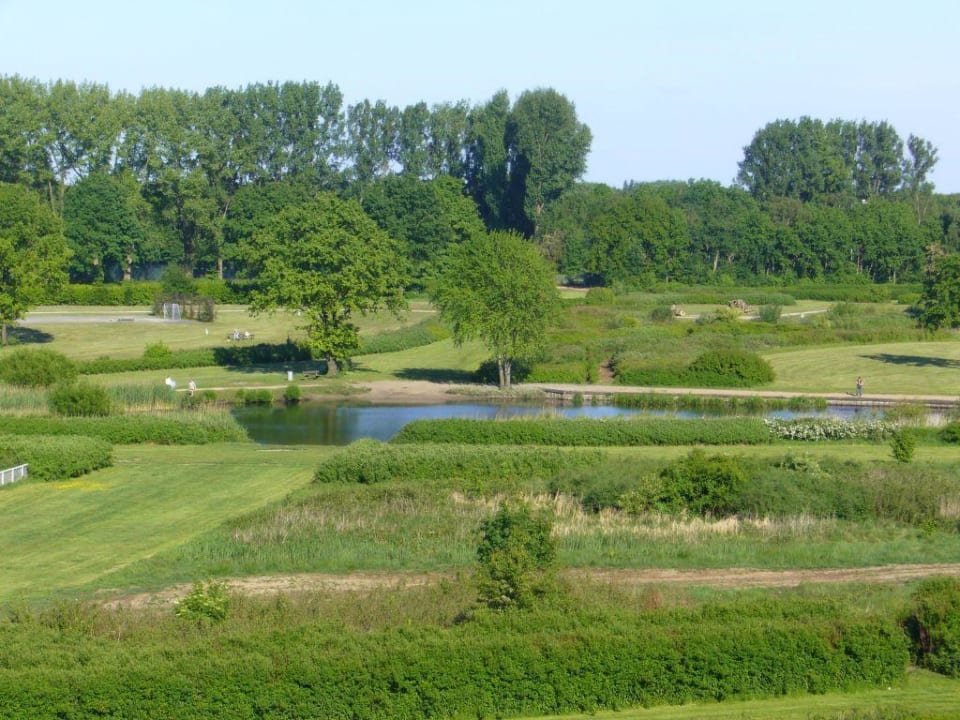 Ausblick Hotelzimmer auf Rennbahn NH Hamburg Horner Rennbahn