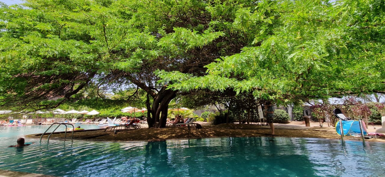 Pool Lopesan Baobab Resort