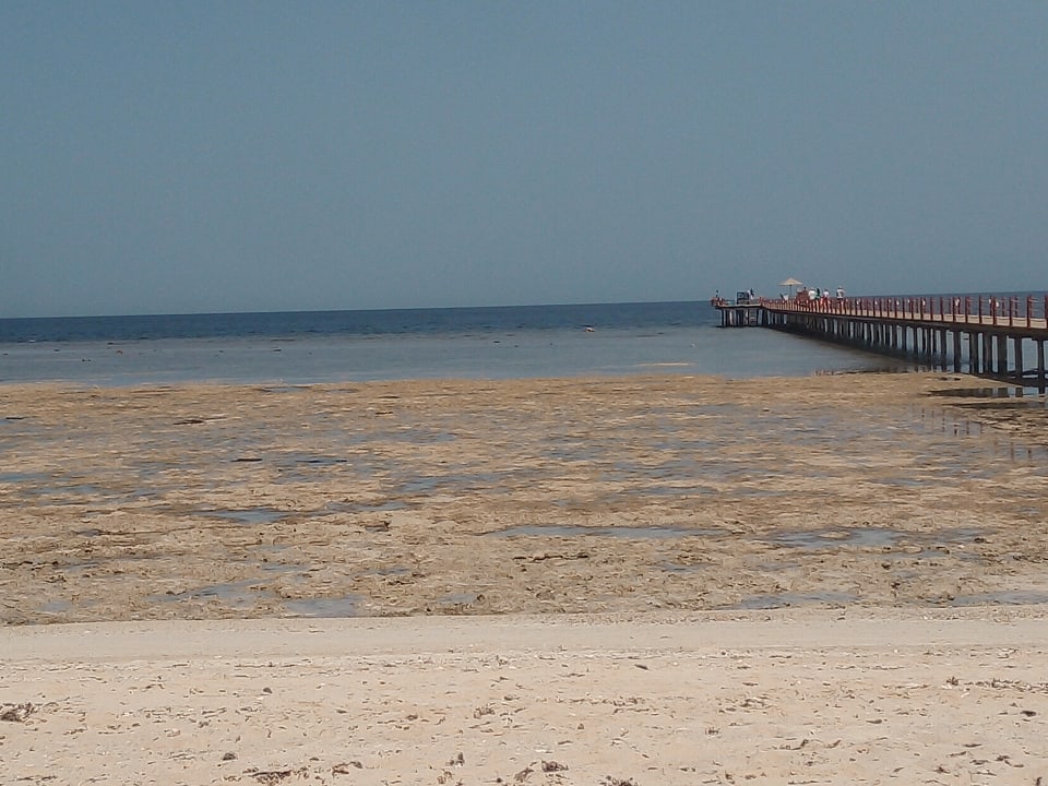 Strand Novotel Marsa Alam Beach Resort