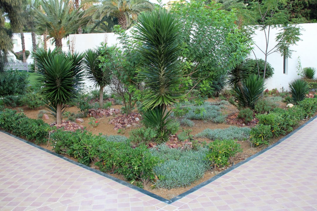 Sehr gepflegte Gartenanlage Steigenberger Marhaba Thalasso Hammamet