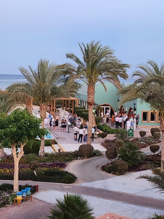 Ausblick Novotel Marsa Alam Beach Resort