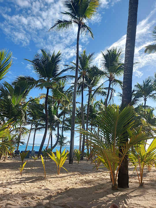 Strand Hotel Riu Palace Punta Cana