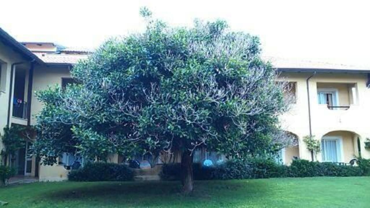 Teren hotelu Falkensteiner Club Funimation Garden Calabria