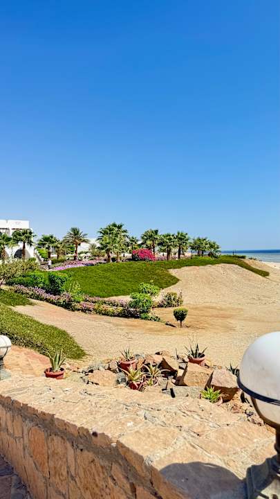 Gartenanlage Three Corners Equinox Beach Resort