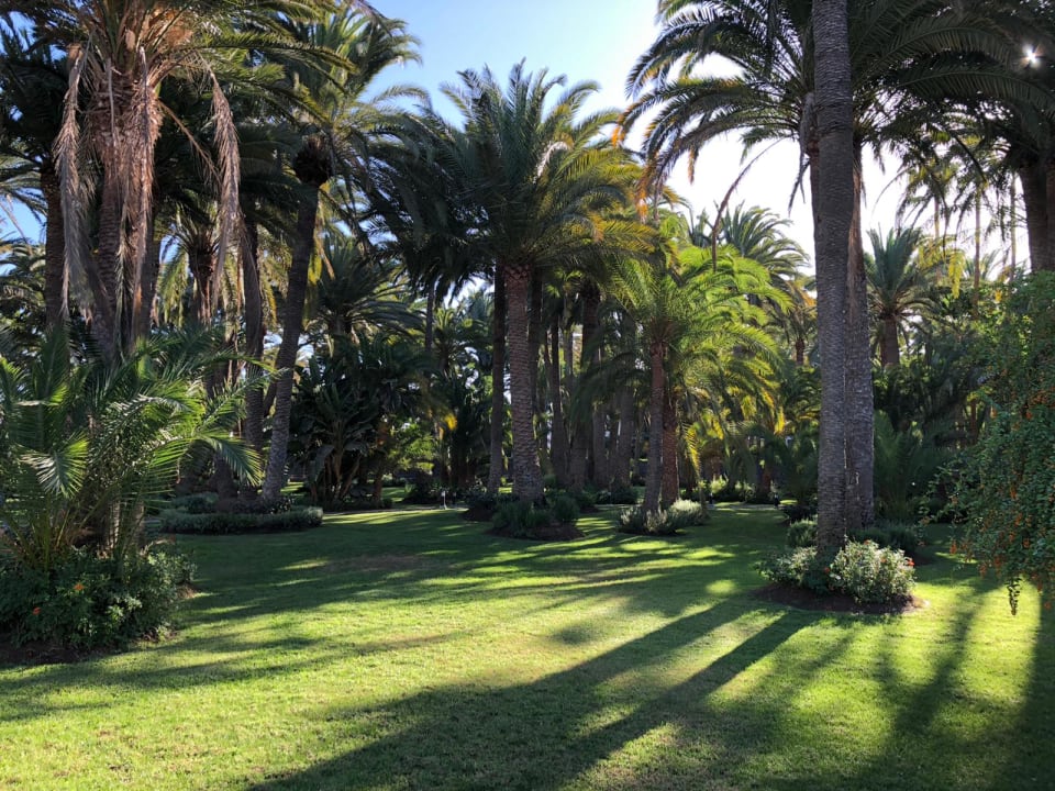 Gartenanlage Hotel Riu Palace Oasis