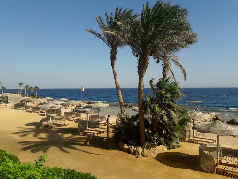 Strand Pickalbatros Citadel Resort