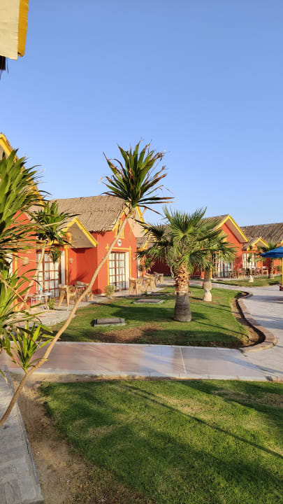 Außenansicht Pickalbatros Jungle Aqua Park Resort - Neverland Hurghada