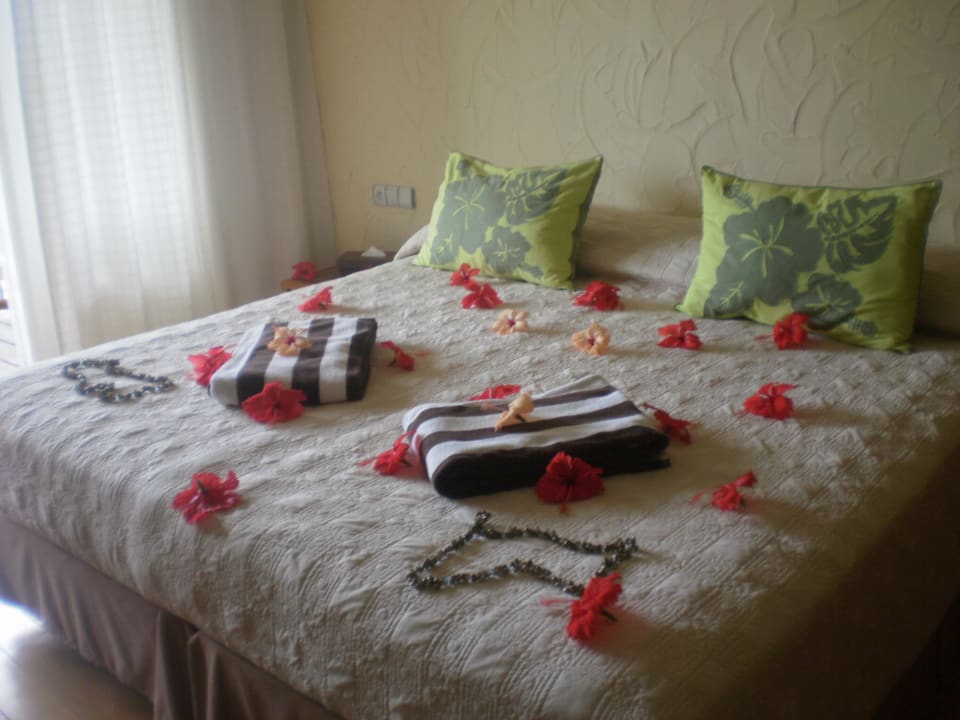 Notre nid d'amour! Hotel Raiatea Lodge