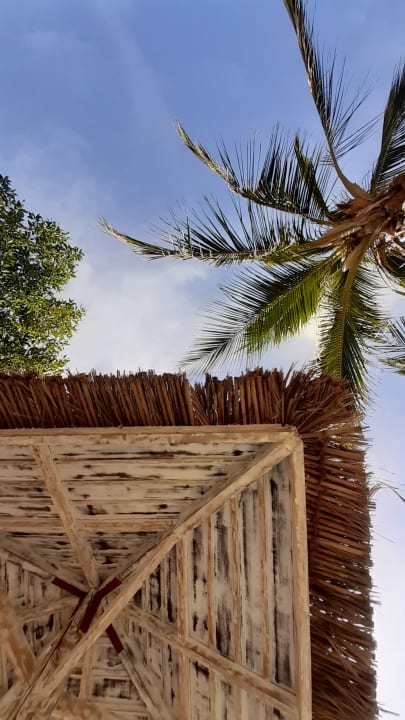 Strand Hotel Le Meridien Al Aqah Beach Resort