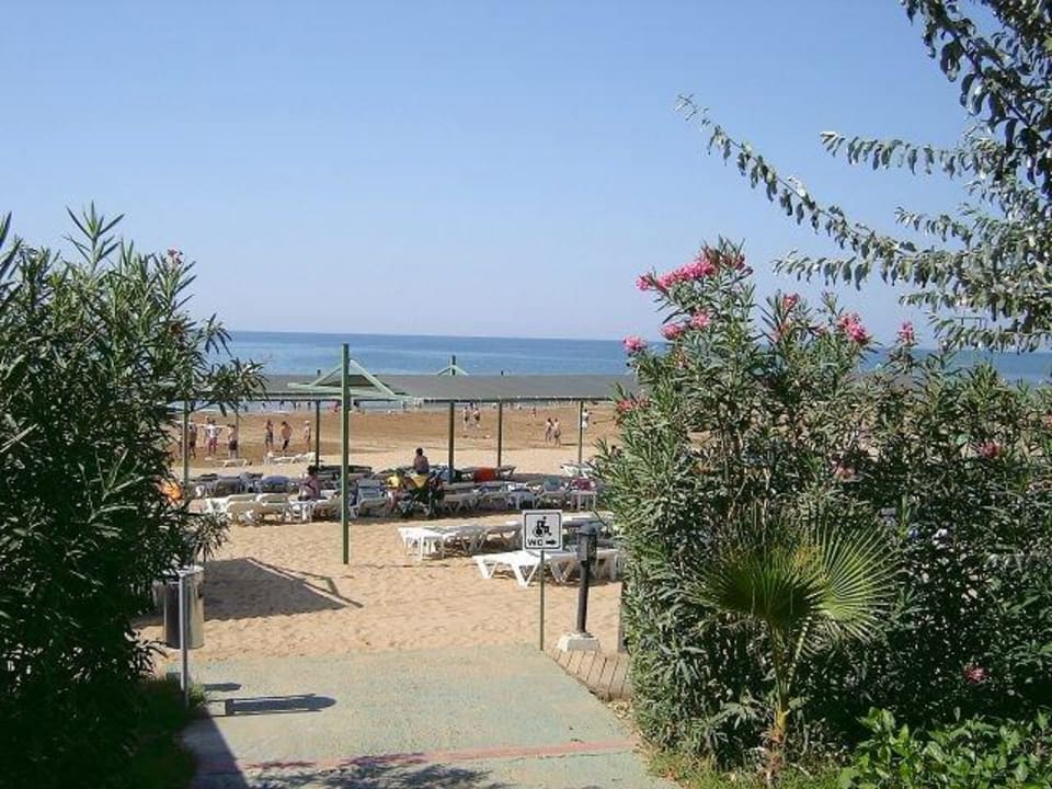 Blick zum Meer Trendy Aspendos Beach Hotel