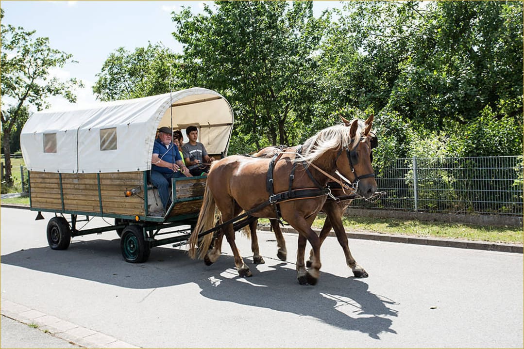 Rundgang per FotoShooting Sommer 2015 Hotel Reiterhof Altmühlsee
