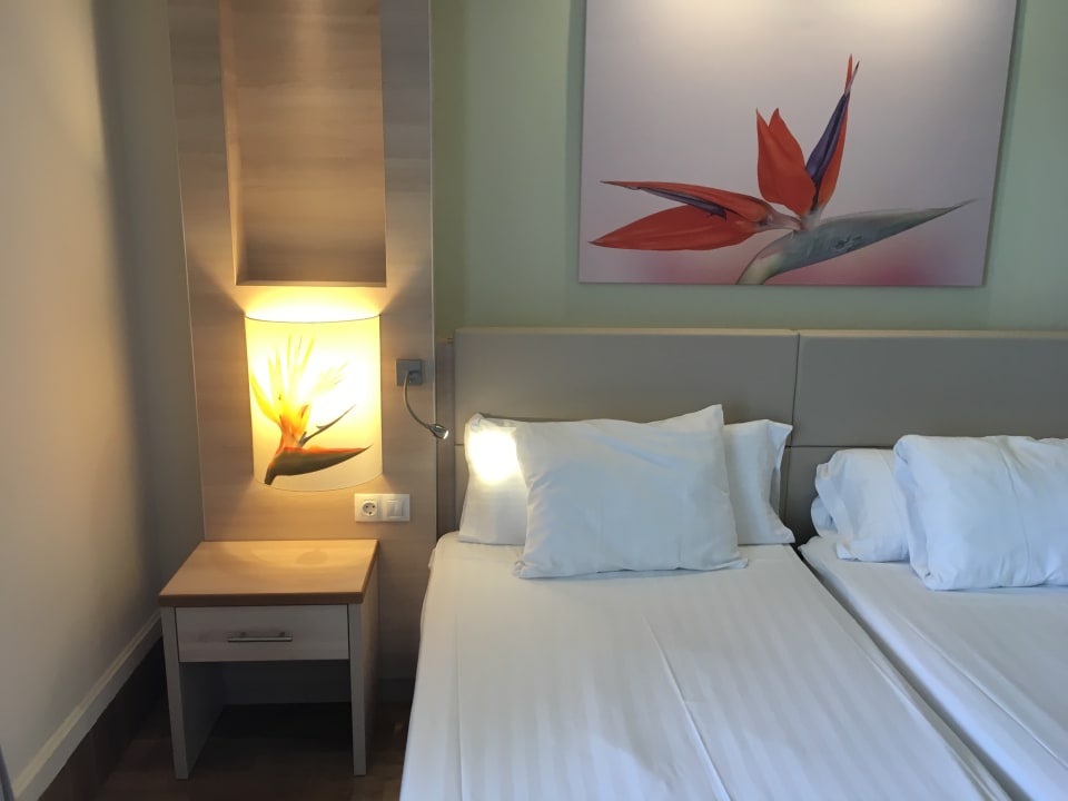 Zimmer Bull Costa Canaria & Spa - Adults only