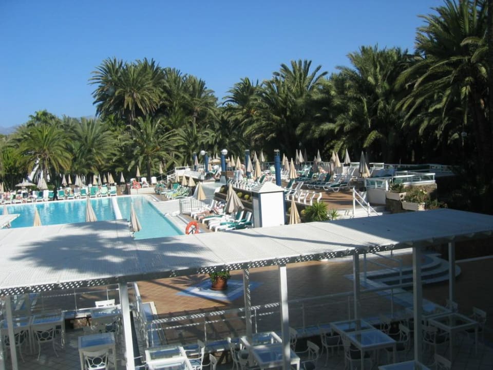 Blick auf den Pool Hotel Riu Palace Oasis