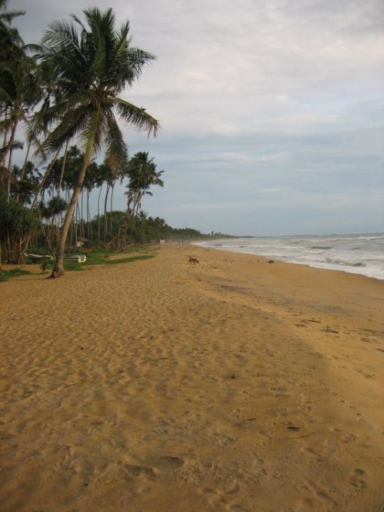 Strandansicht! Mermaid Hotel & Club