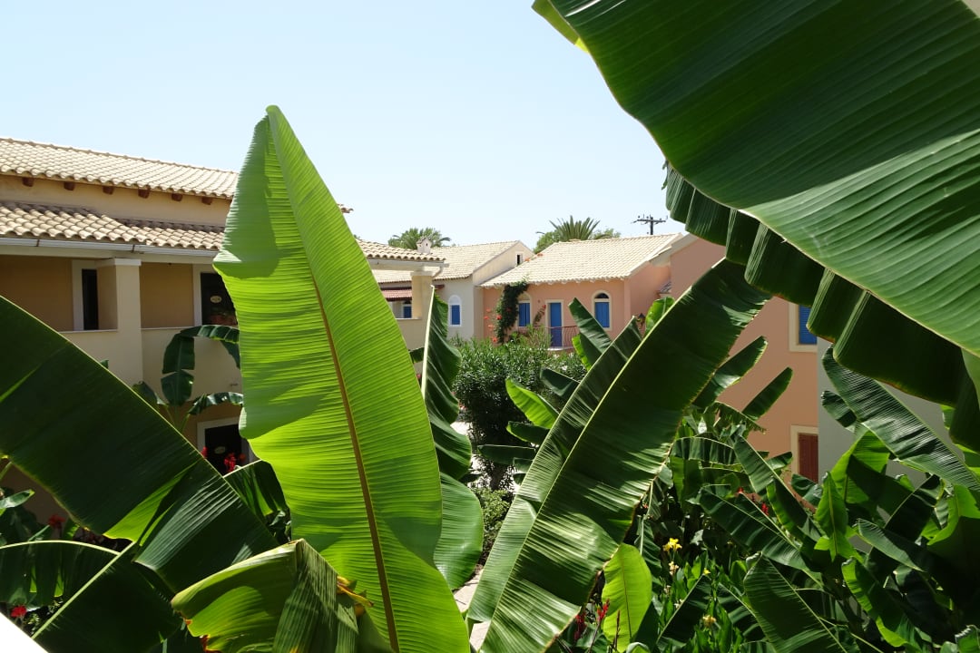 Gartenanlage St. George's Bay Country Club