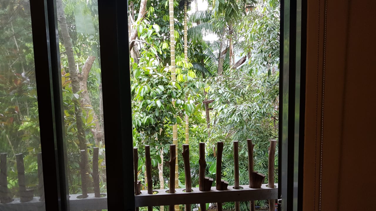 Ausblick Hotel Belum Rainforest Resort