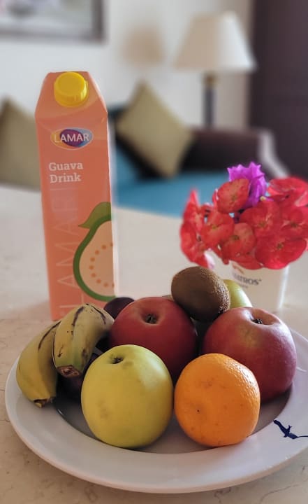 Zimmer Pickalbatros Citadel Resort