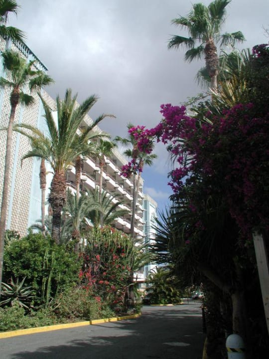 Eingang zum Hotel Bull Escorial & Spa