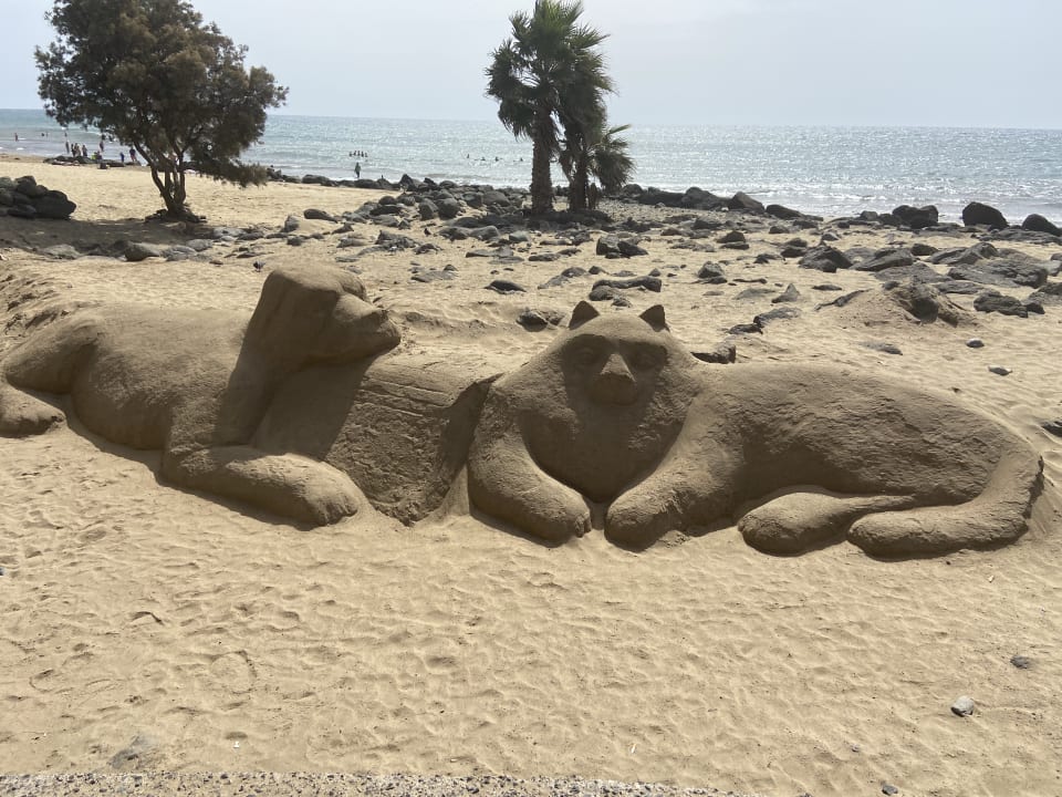 Strand Hotel Riu Palace Oasis