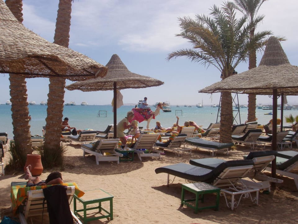 Otilie hat Feierabend Giftun Azur Resort