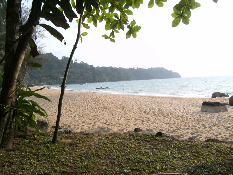 Aussicht von meiner Liege Moracea by Khao Lak Resort