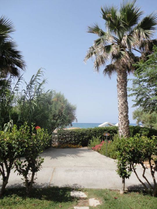 Ogród allsun Hotel Malia Beach