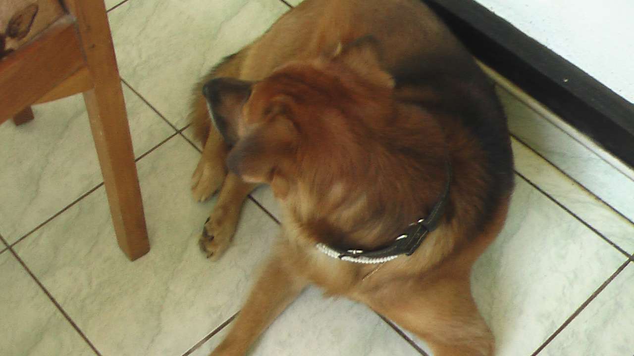 Außenansicht Sunshine Guesthouse