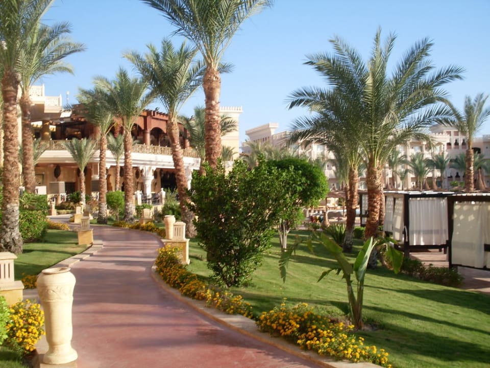 Утро в отеле Pickalbatros Palace Resort