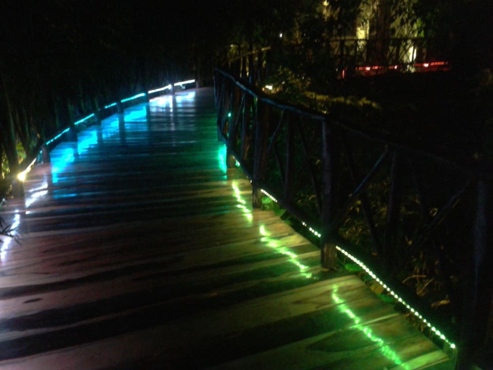 Beleuchteter Weg zu den Zimmern! The Reef Playacar
