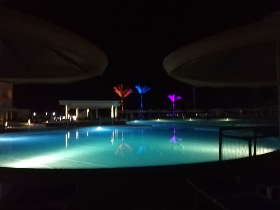 Pool Beach Albatros Resort
