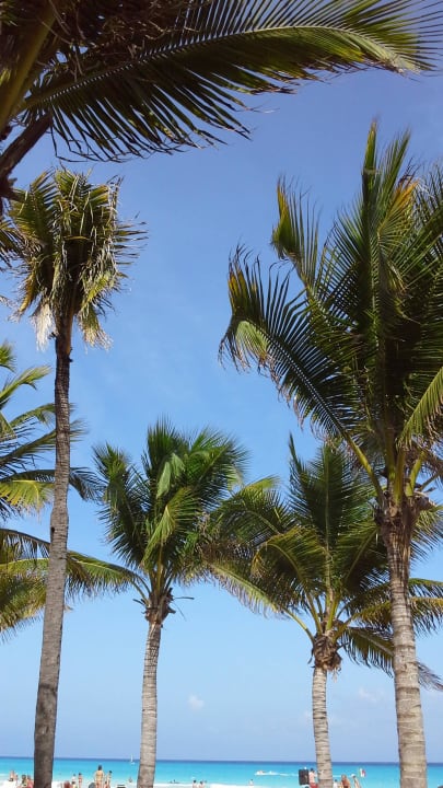Im schatten der palmen am wunderschöne strand Hotel Riu Tequila