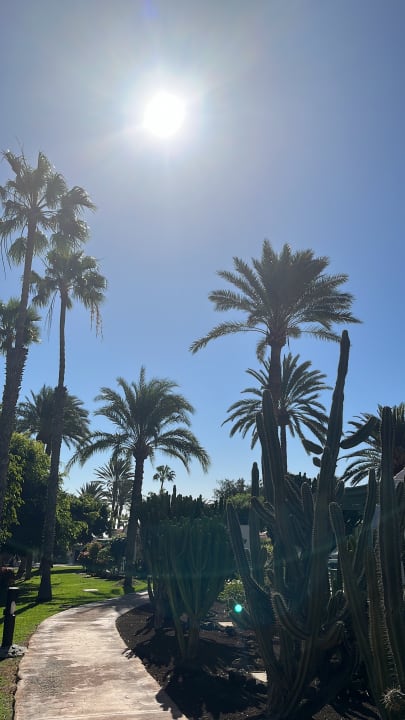 Gartenanlage Aldiana Club Fuerteventura