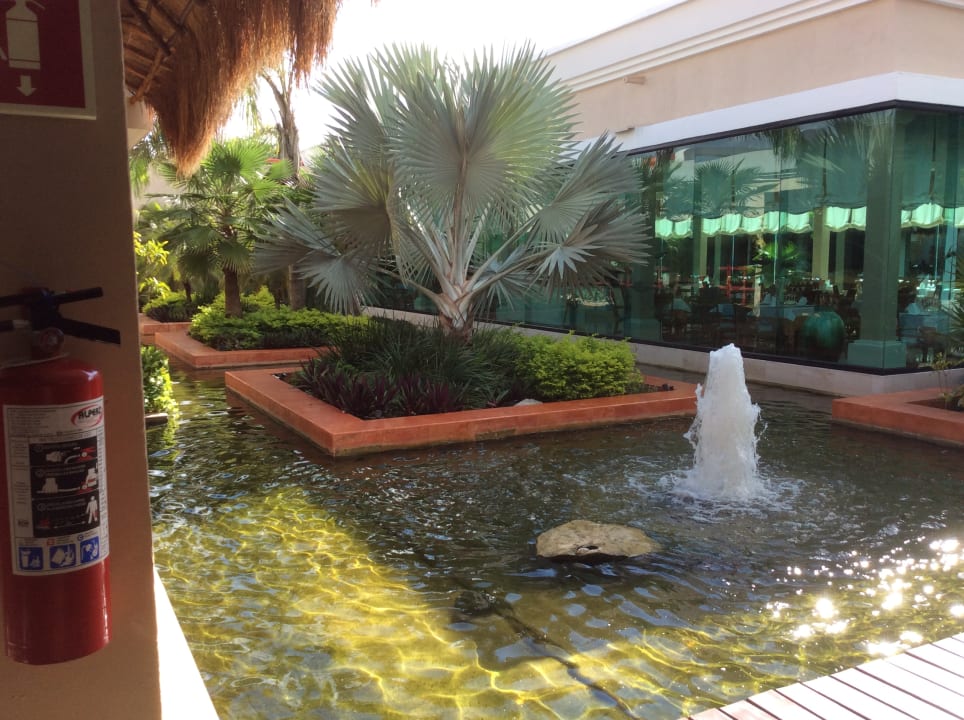 Außenansicht Iberostar Waves Quetzal