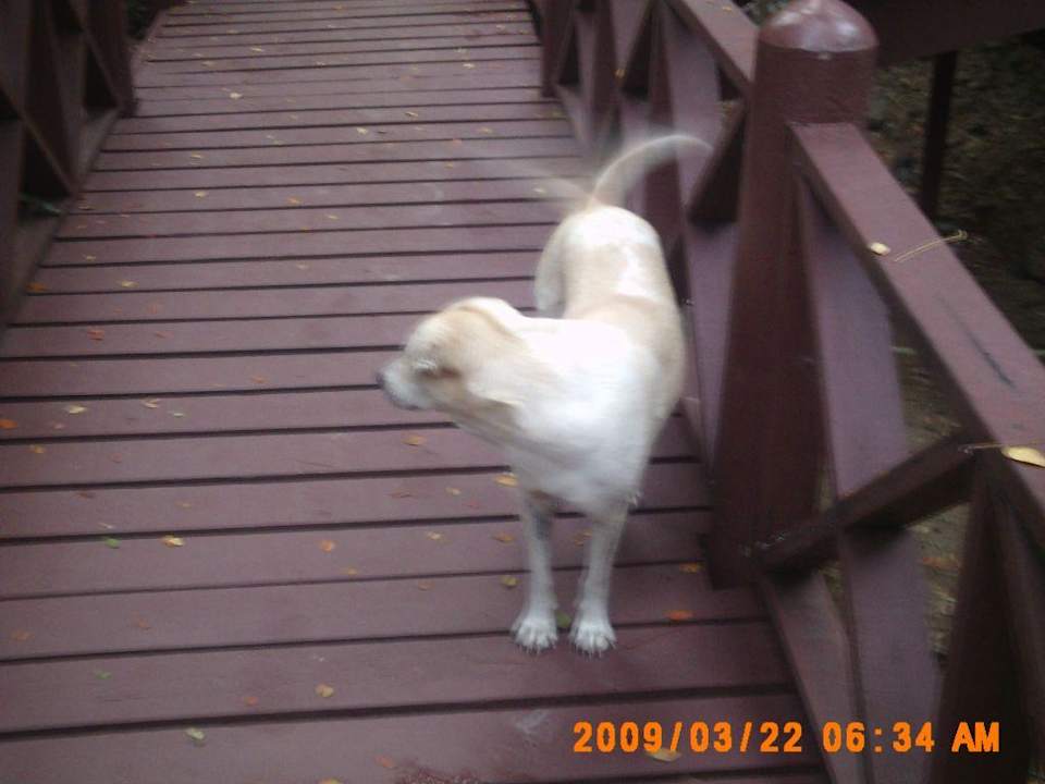 Kajun Hotel Coral Island Resort