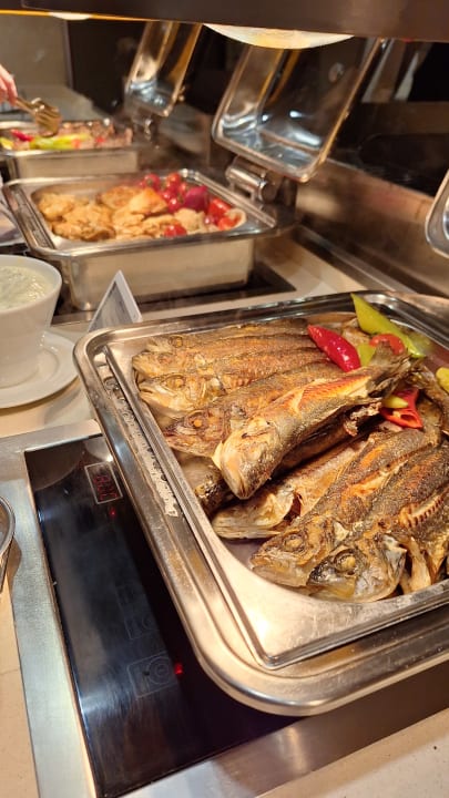 Gastro Arum Barut Collection