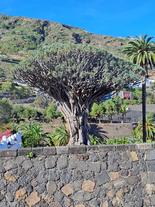 Zimmer AluaSoul Orotava Valley