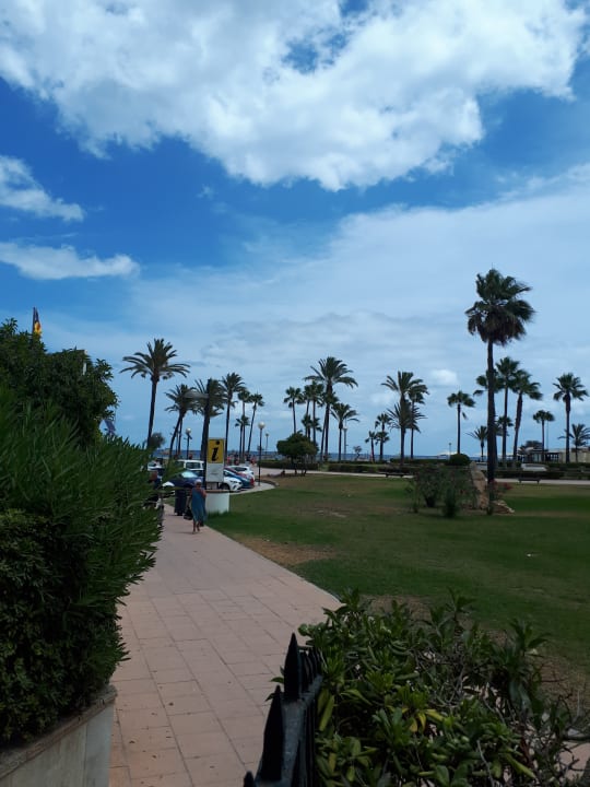 Gartenanlage allsun Hotel Bahia del Este