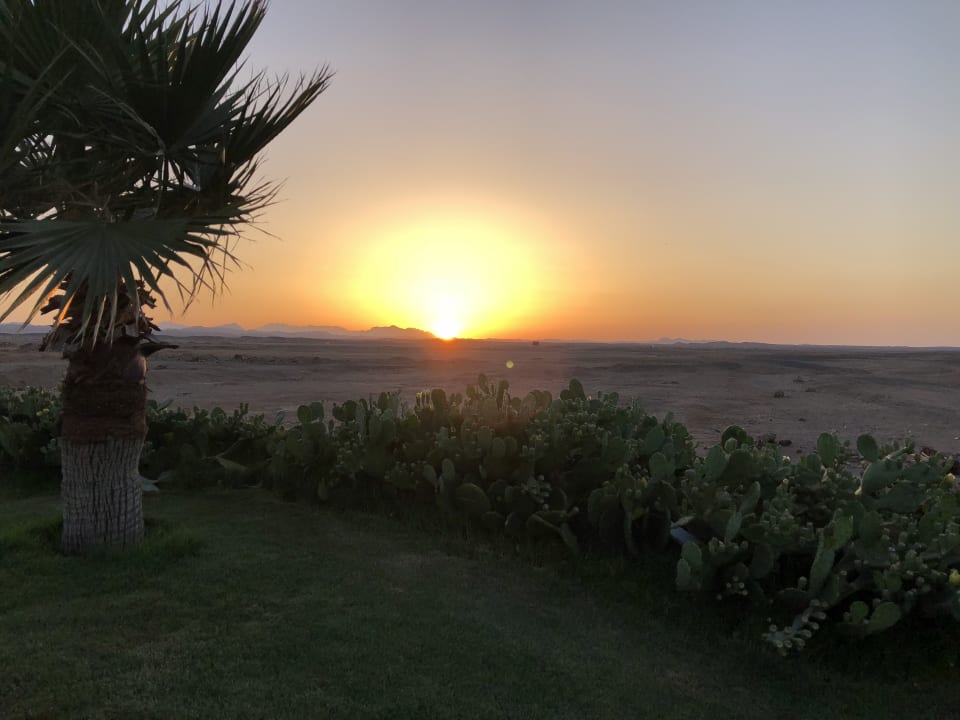 Ausblick Three Corners Sea Beach Resort