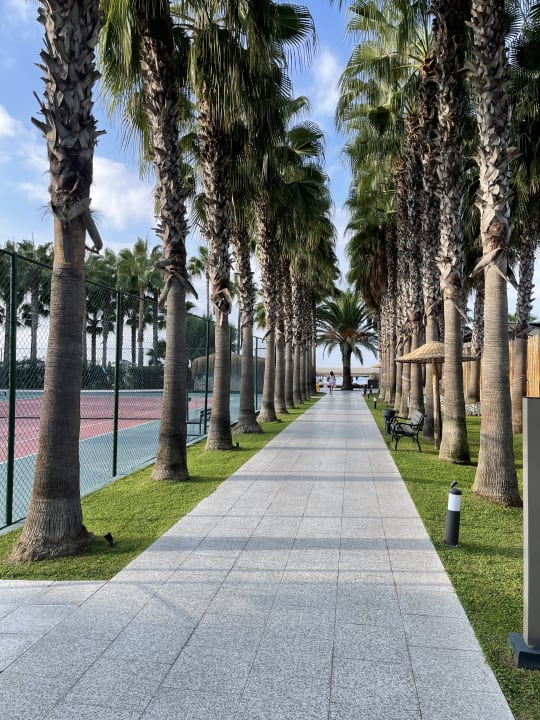 Gartenanlage Miramare Queen Hotel