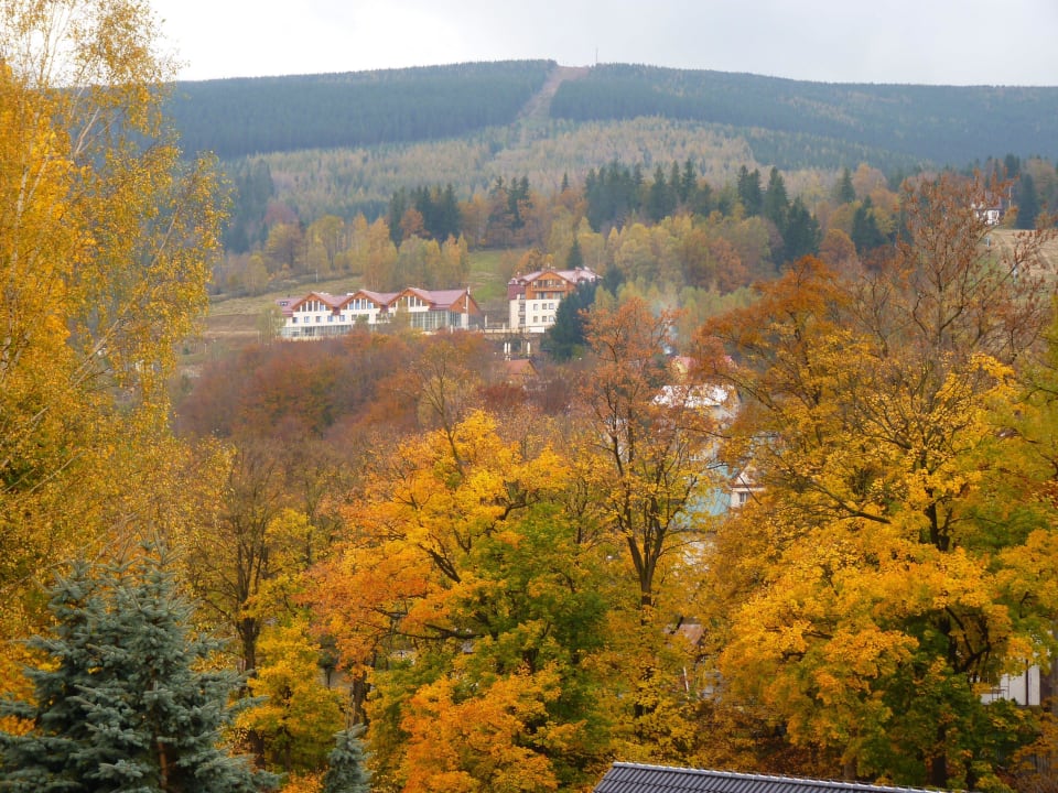 Naturlage Hotel & Medi-Spa Biały Kamień