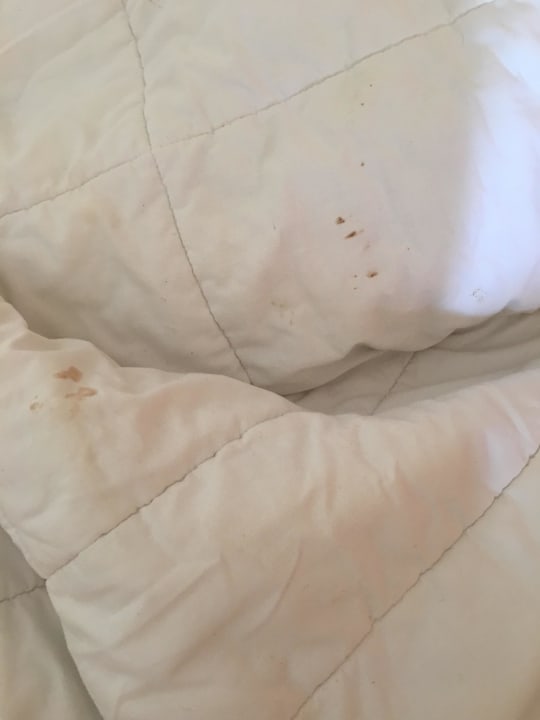 Nach mehrfachen Aufforderungen kein Austausch Steigenberger Marhaba Thalasso Hammamet