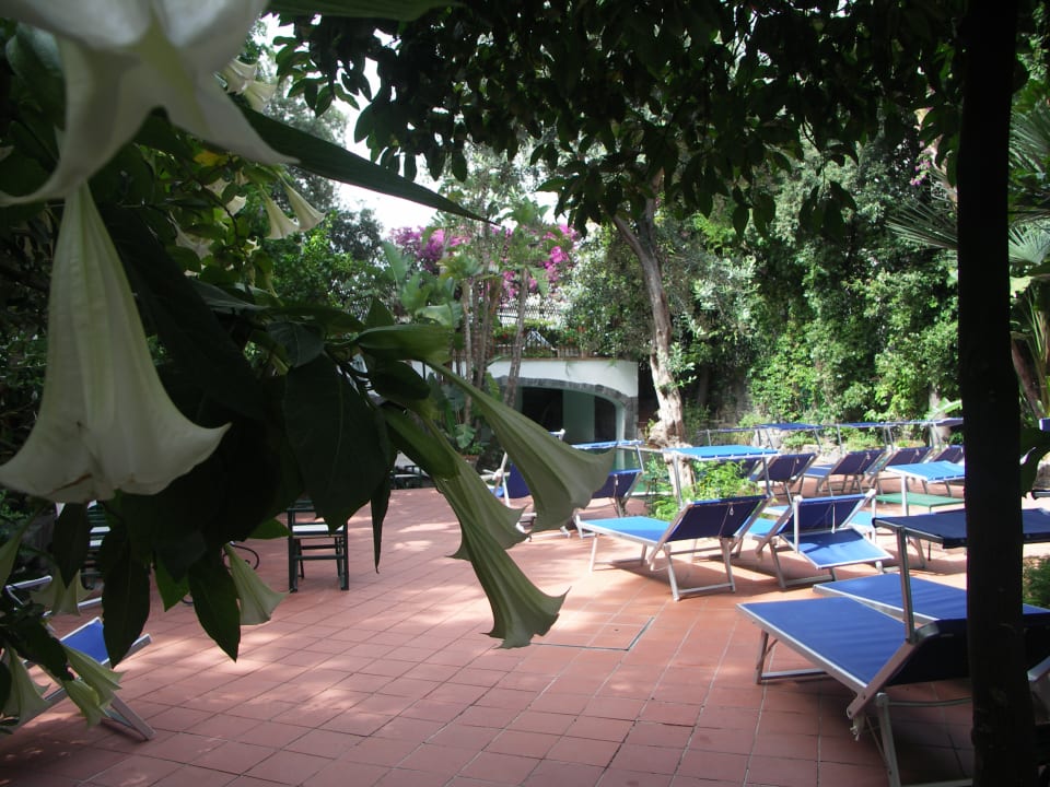 Pool Hotel La Villarosa Terme